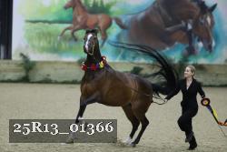 25R13_01366 thumbnail