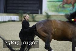 25R13_01367 thumbnail