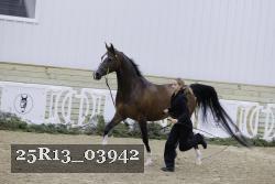 25R13_03942 thumbnail