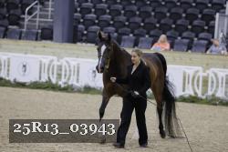 25R13_03943 thumbnail