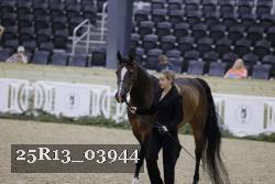 25R13_03944 thumbnail