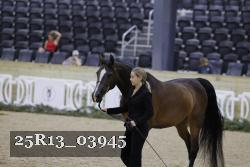 25R13_03945 thumbnail