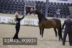 25R13_03951 thumbnail