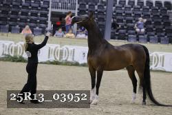 25R13_03952 thumbnail