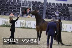 25R13_03954 thumbnail