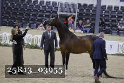 25R13_03955 thumbnail