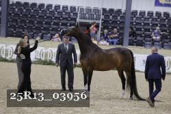 25R13_03956 thumbnail