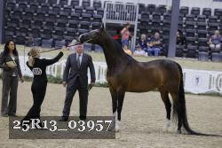 25R13_03957 thumbnail