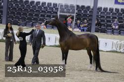 25R13_03958 thumbnail