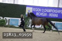 25R13_03959 thumbnail
