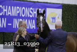 25R13_03960 thumbnail