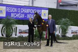 25R13_03965 thumbnail