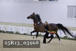 25R13_03968 thumbnail