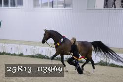 25R13_03969 thumbnail