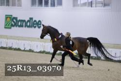 25R13_03970 thumbnail