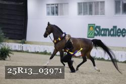 25R13_03971 thumbnail