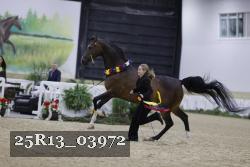 25R13_03972 thumbnail