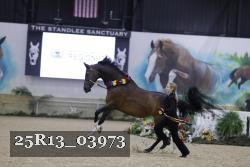25R13_03973 thumbnail