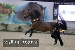 25R13_03974 thumbnail