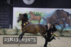 25R13_03975 thumbnail