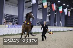25R13_03976 thumbnail