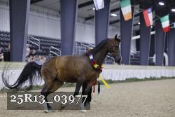 25R13_03977 thumbnail
