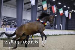 25R13_03978 thumbnail
