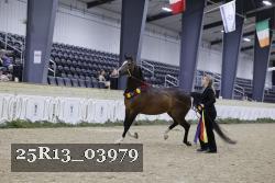 25R13_03979 thumbnail