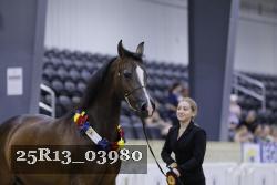 25R13_03980 thumbnail