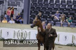 25R13_01368 thumbnail