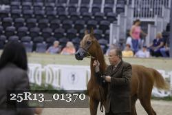 25R13_01370 thumbnail