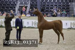 25R13_01371 thumbnail