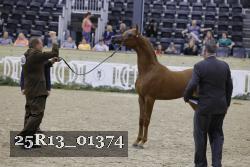 25R13_01374 thumbnail