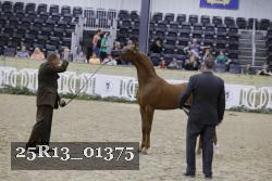 25R13_01375 thumbnail