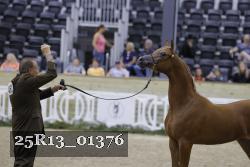 25R13_01376 thumbnail