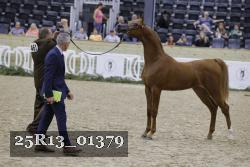 25R13_01379 thumbnail