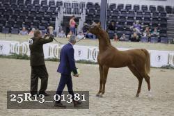 25R13_01381 thumbnail