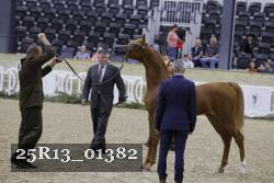 25R13_01382 thumbnail