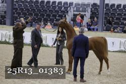 25R13_01383 thumbnail