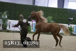 25R13_01389 thumbnail