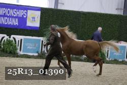 25R13_01390 thumbnail