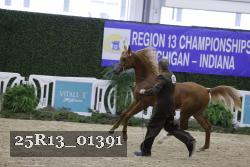 25R13_01391 thumbnail