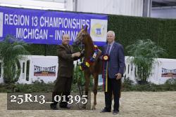 25R13_01395 thumbnail