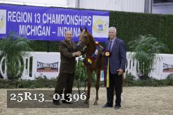 25R13_01396 thumbnail