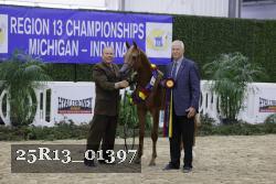 25R13_01397 thumbnail