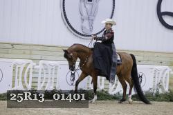 25R13_01401 thumbnail