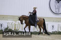 25R13_01402 thumbnail