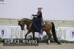 25R13_01405 thumbnail