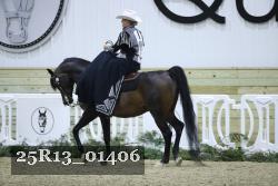 25R13_01406 thumbnail