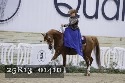25R13_01410 thumbnail